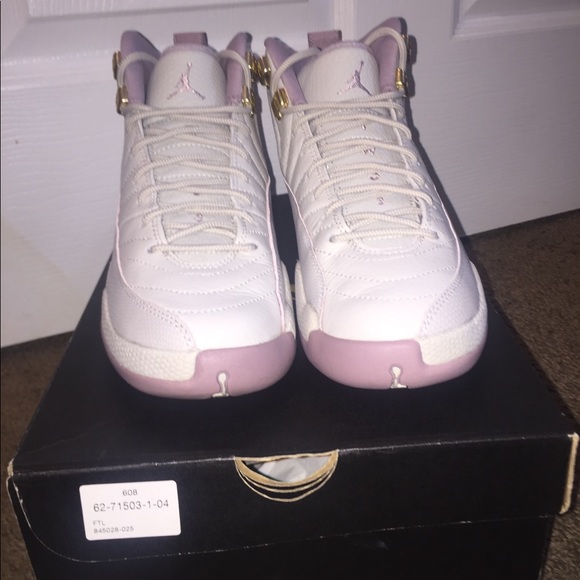 jordan 12 retro plum